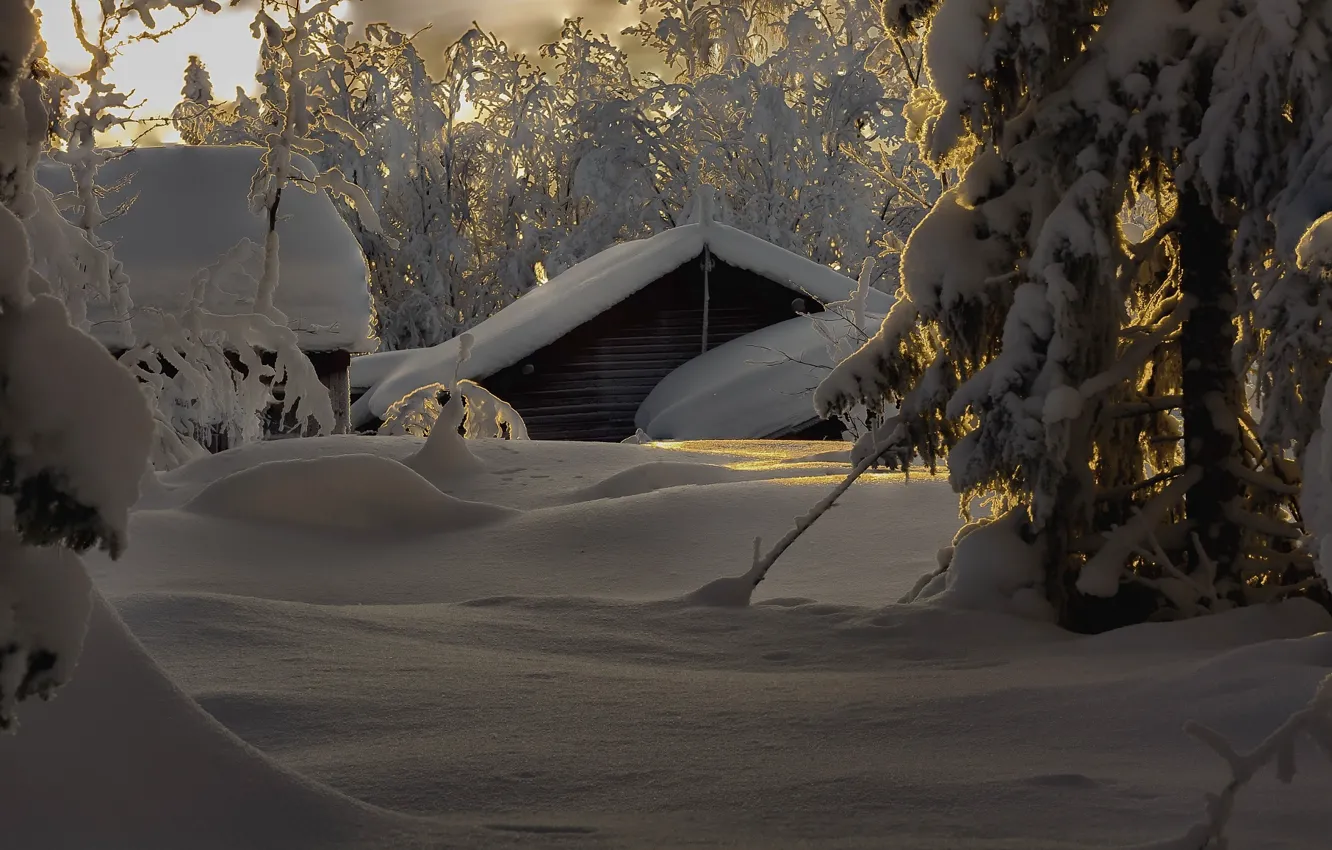 Фото обои зима, снег, деревья, природа, дома, сугробы