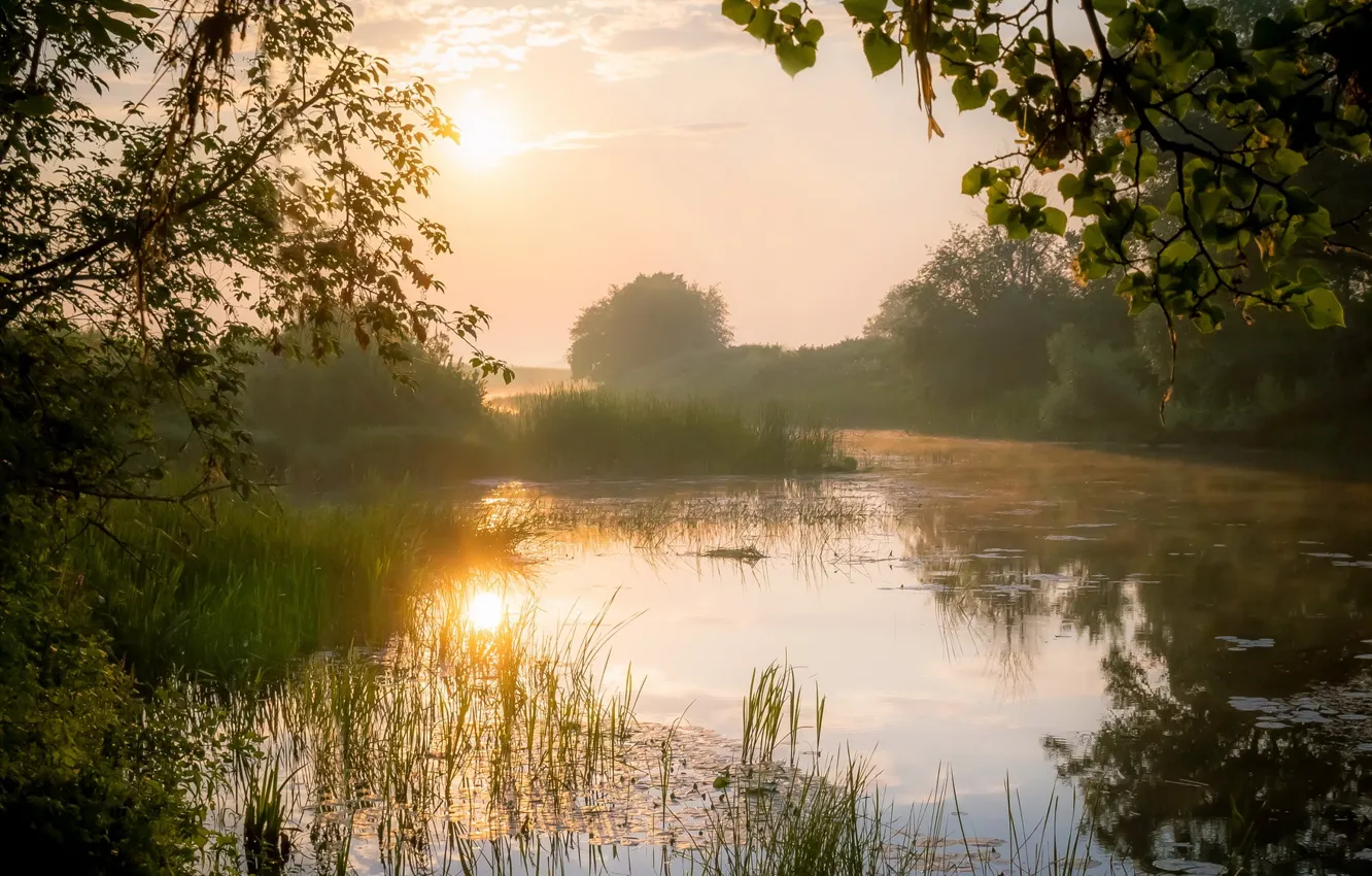 Фото обои туман, берег, утро, водоем