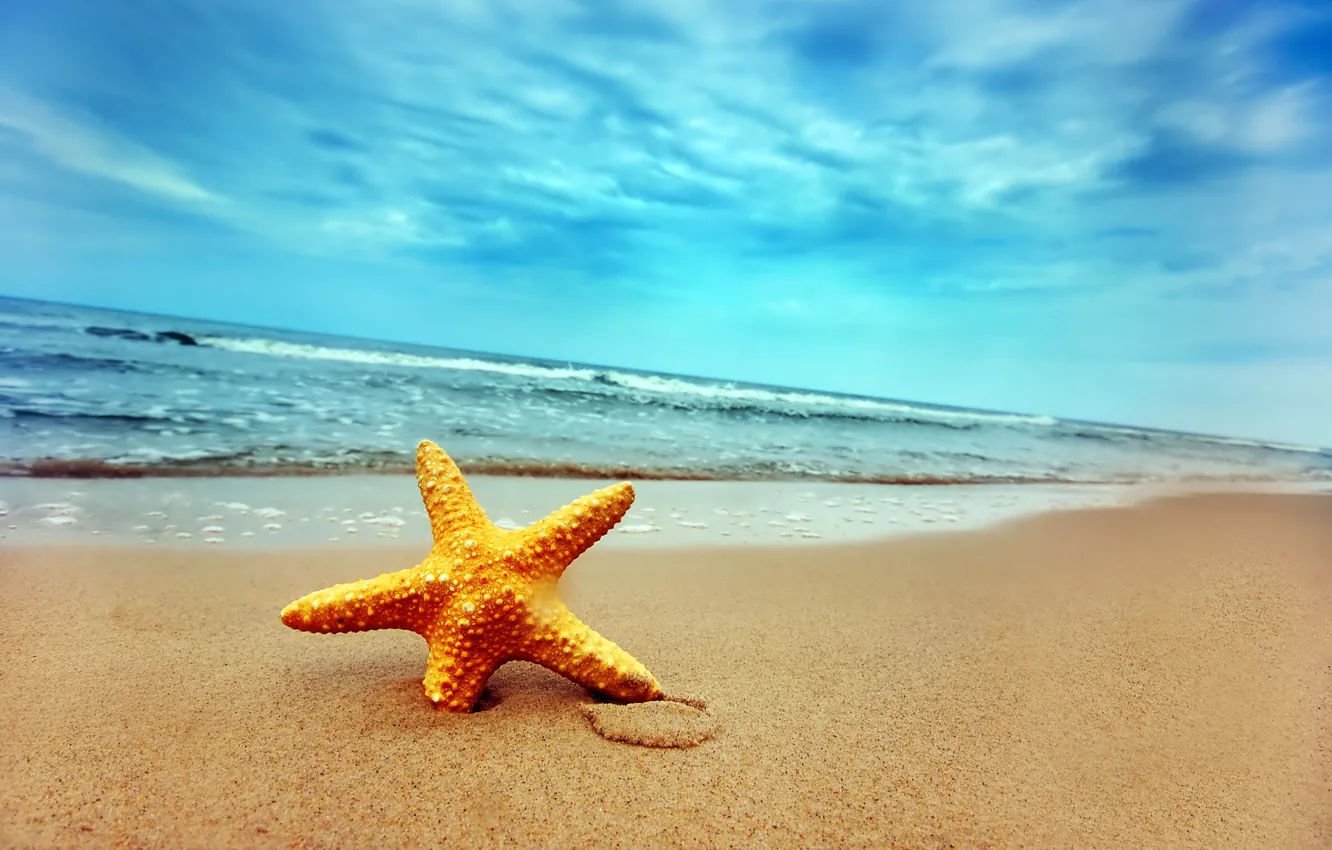Фото обои песок, волны, берег, звезда, 155