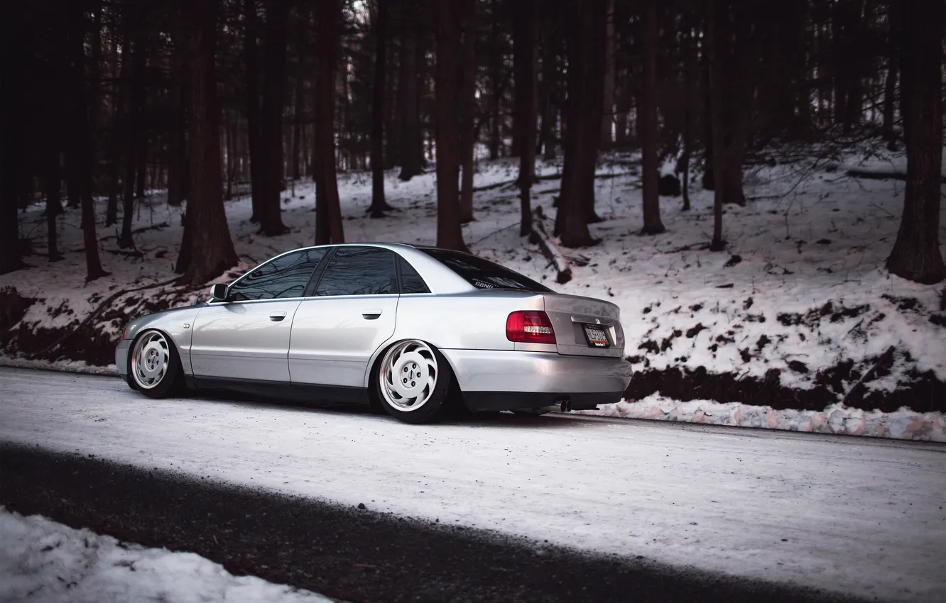 Фото обои лес, снег, Audi, ауди, серебристая, stance, догога