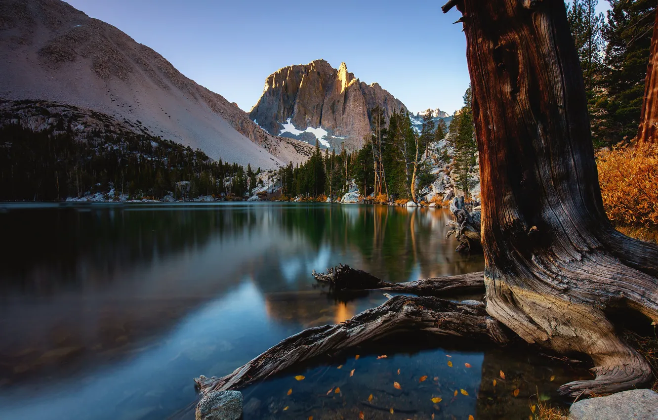 Фото обои осень, деревья, горы, скала, озеро, Калифорния, California, Сьерра-Невада