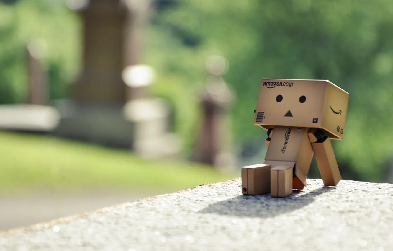 Фото обои danbo, box, коробочка