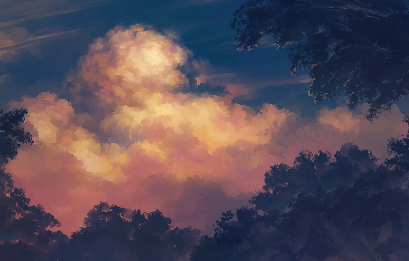 Фото обои небо, облака, деревья, закат, природа