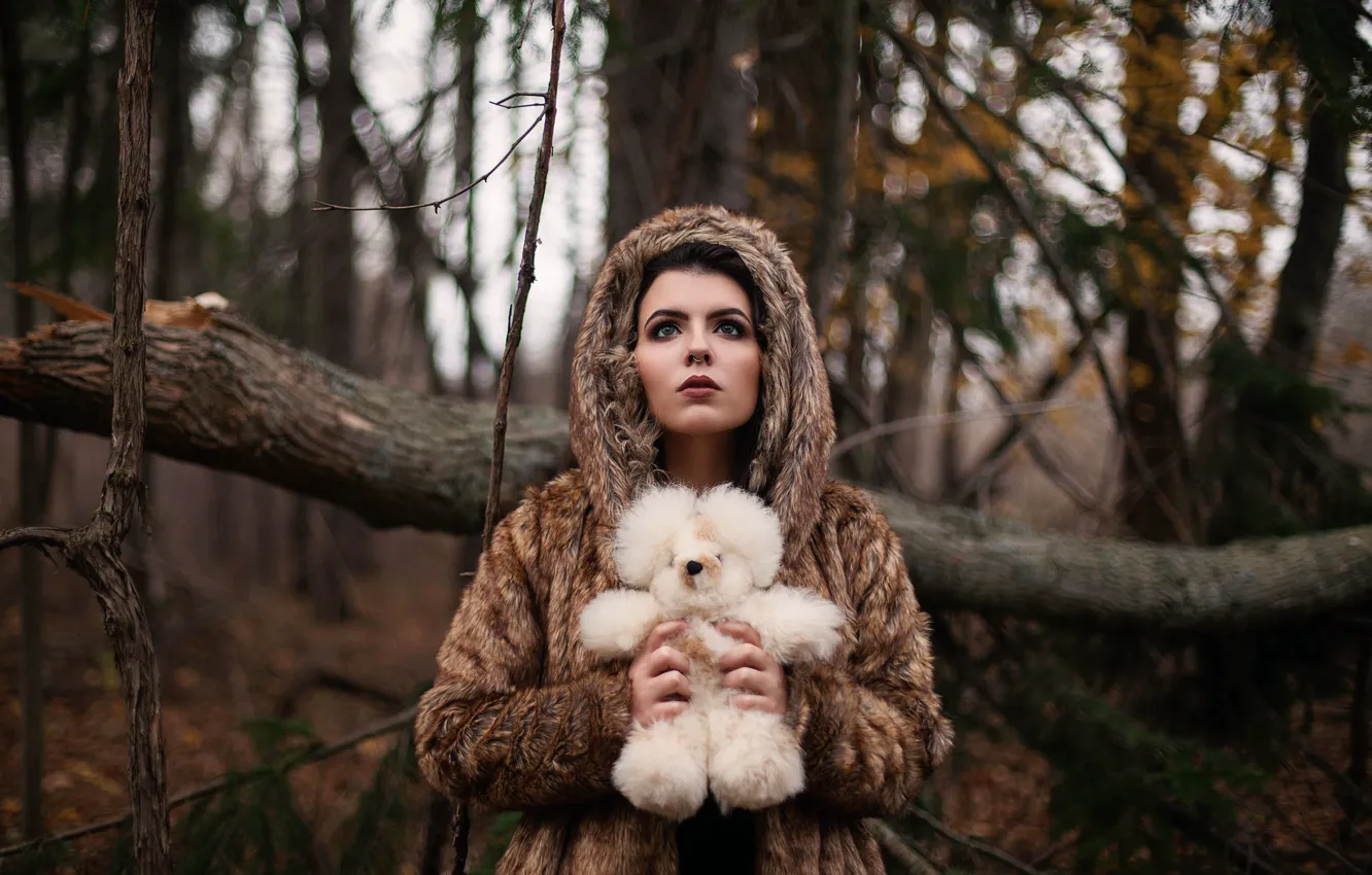 Фото обои лес, девушка, игрушка, мишка