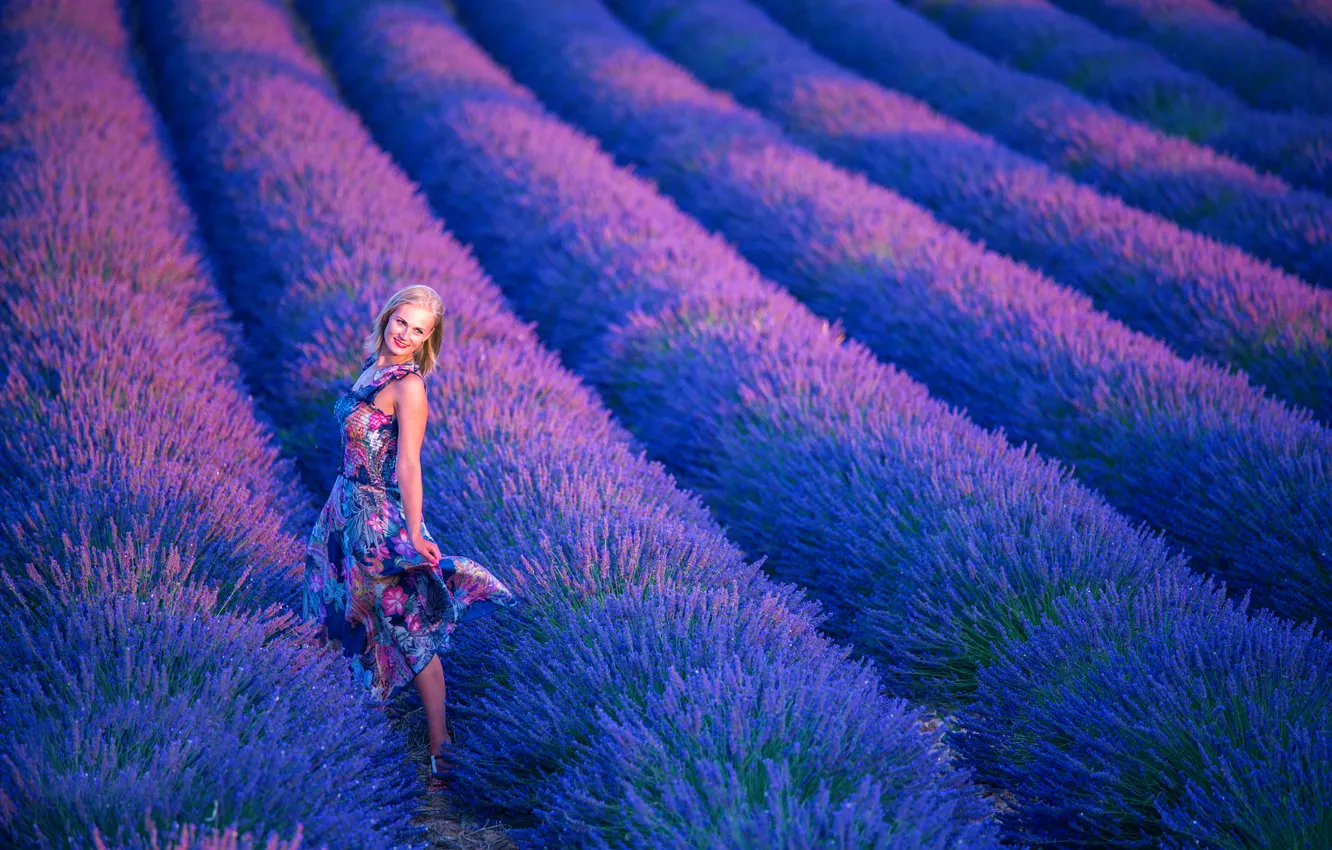 Фото обои девушка, платье, лаванда, Lavender Season