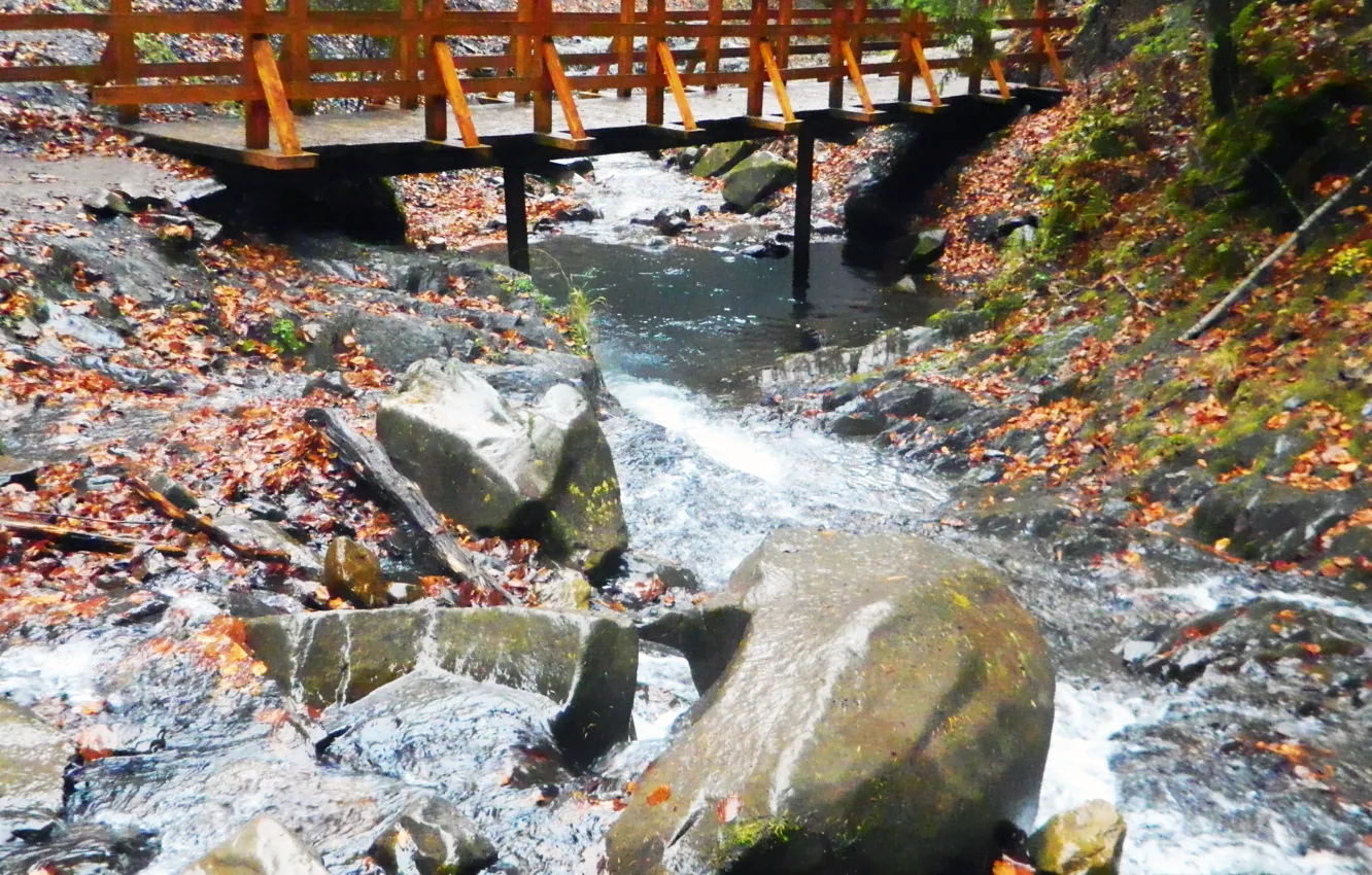 Фото обои камни, Мостик, осенние листья, горный ручей