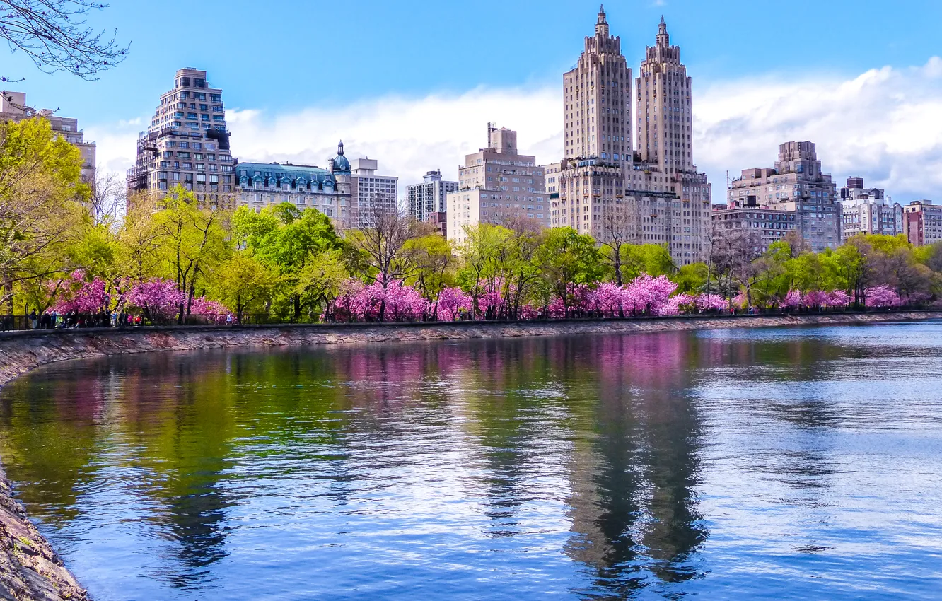 Фото обои деревья, дома, весна, Нью-Йорк, США, водоем, цветущие, Central Park
