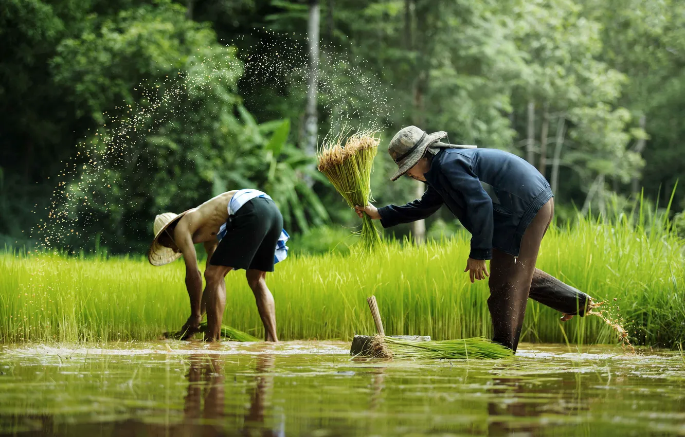 Фото обои Nature, Thailand, Man, People