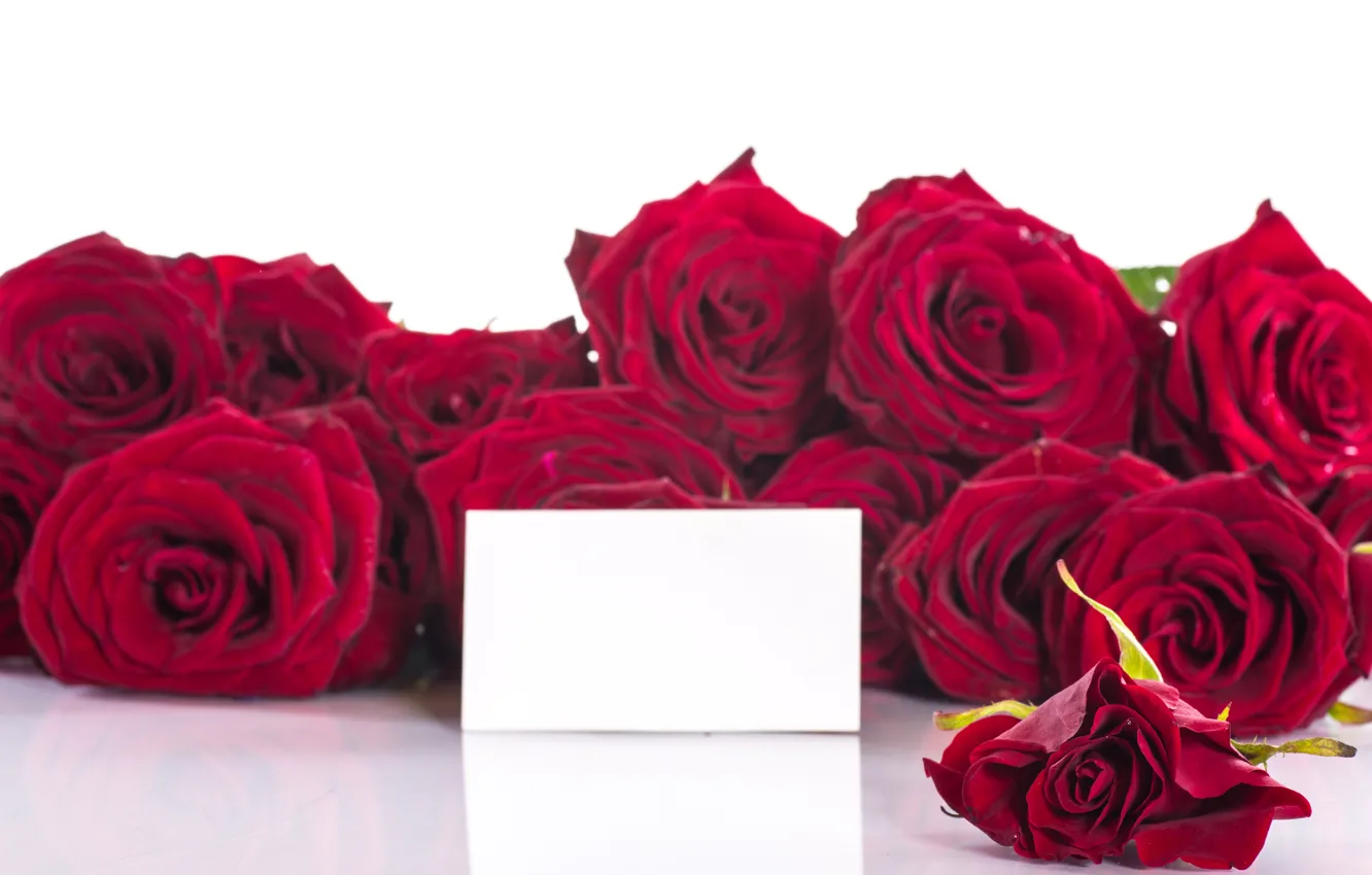 Фото обои цветы, красный, розы, букет, лепестки