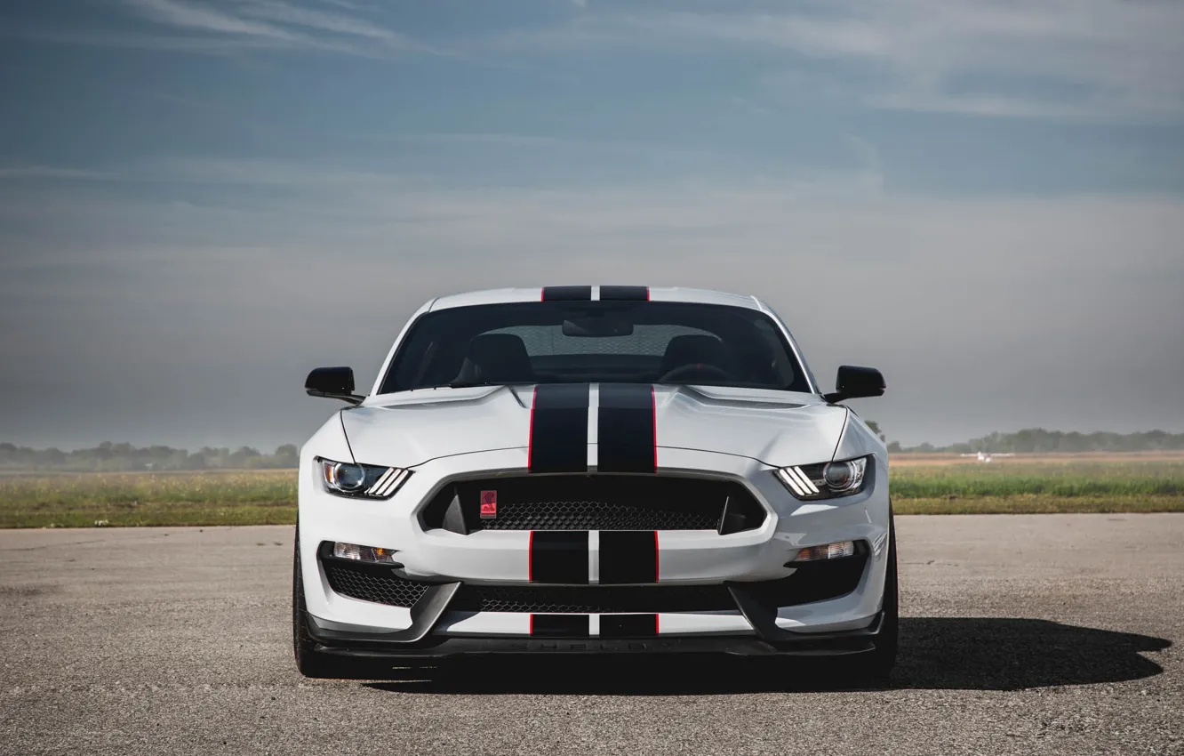 Фото обои Mustang, Ford, Shelby, GT350R, 2016