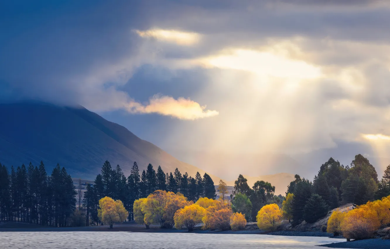 Фото обои sky, trees, landscape, nature, lake