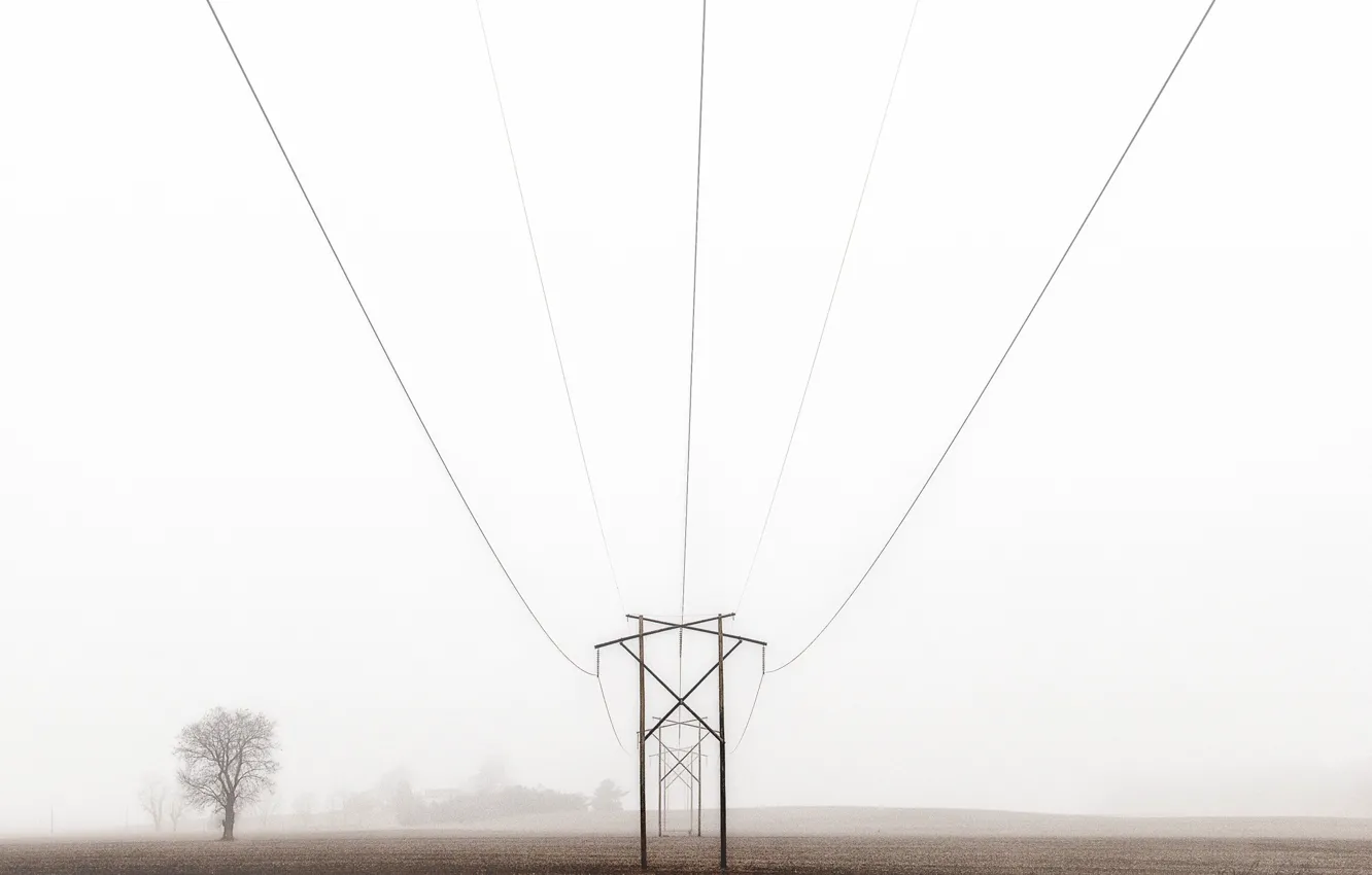 Фото обои field, farm, foggy, power line