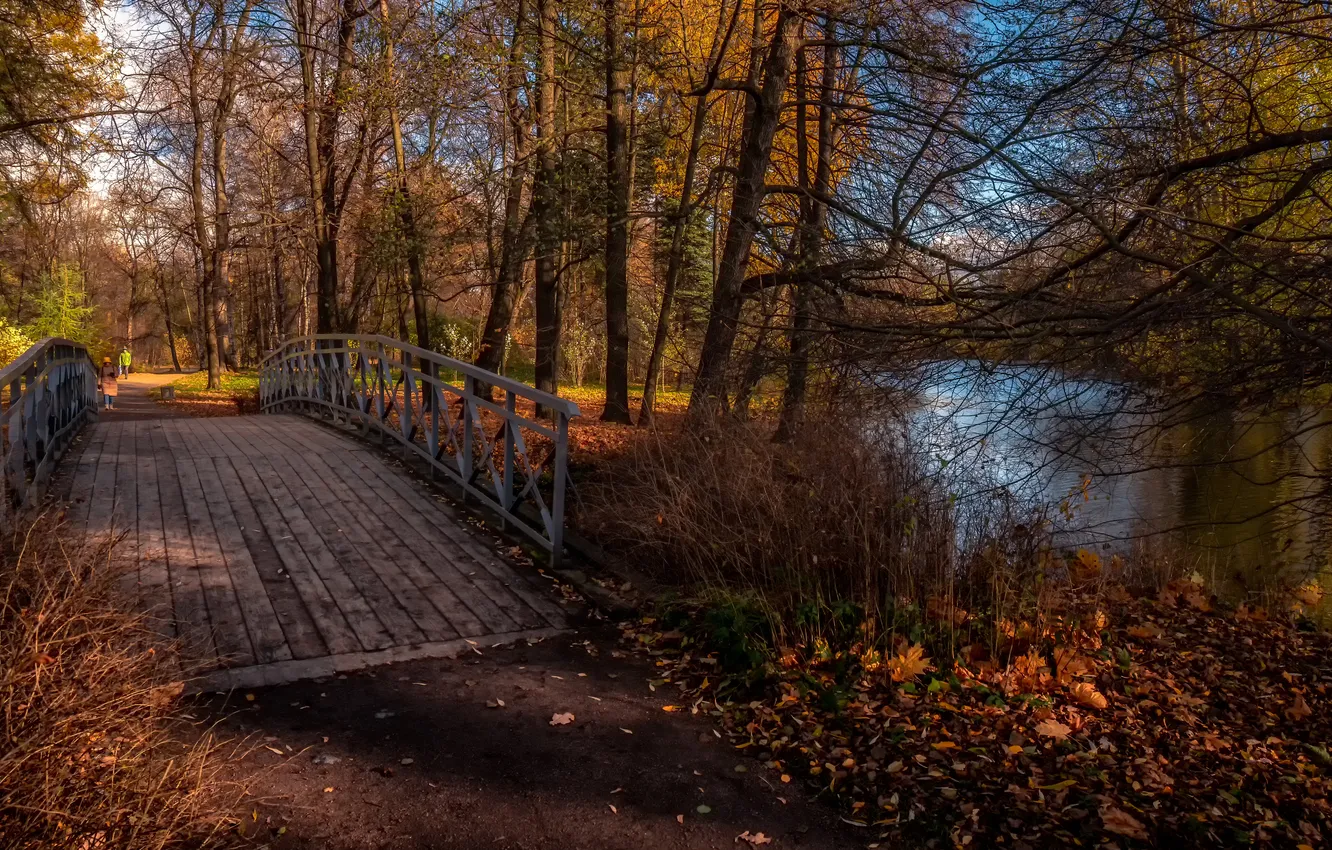 Фото обои trees, bridge, park, autumn