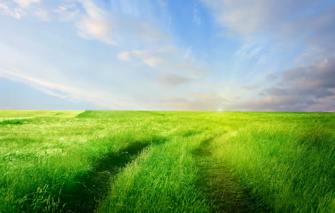 Фото обои дорога, зелень, поле, небо, трава, облака, природа, горизонт