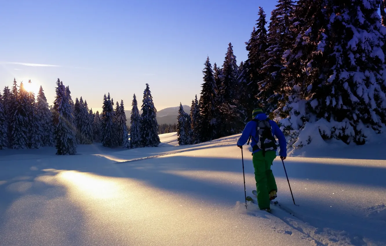 Фото обои зима, утро, лыжник