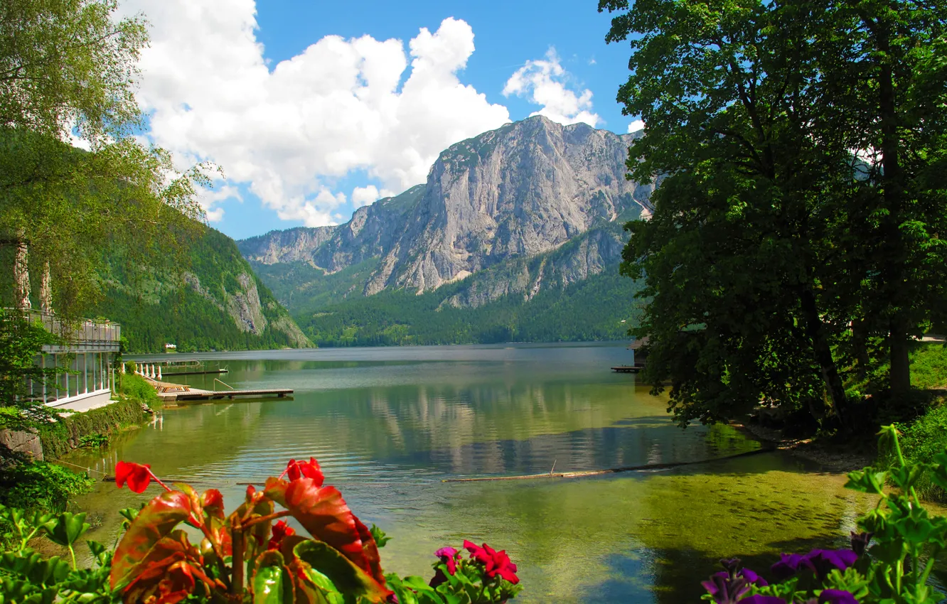 Фото обои лес, лето, солнце, облака, деревья, цветы, горы, озеро