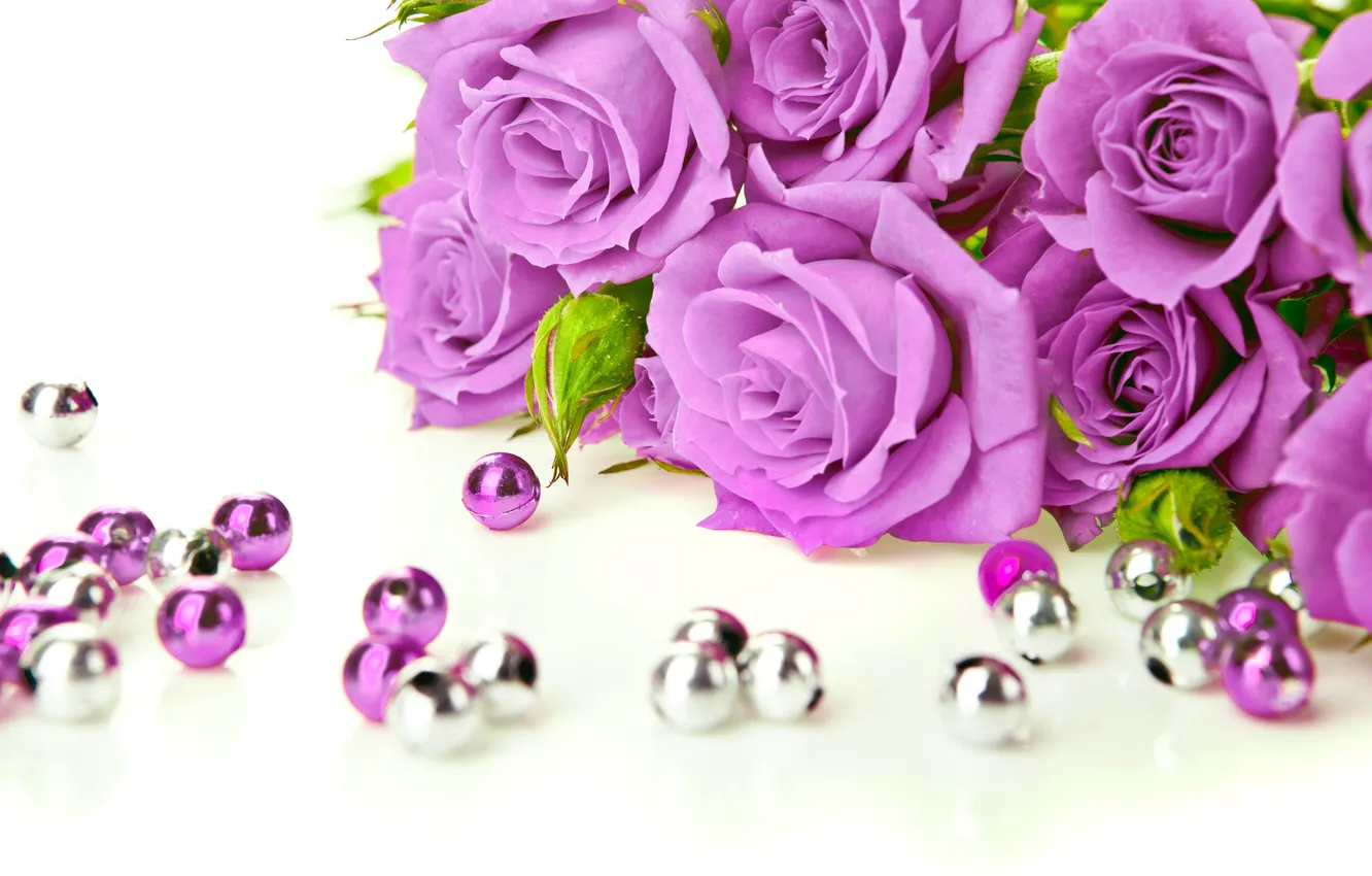 Фото обои цветы, розы, фиолетовые, бусины, бутоны