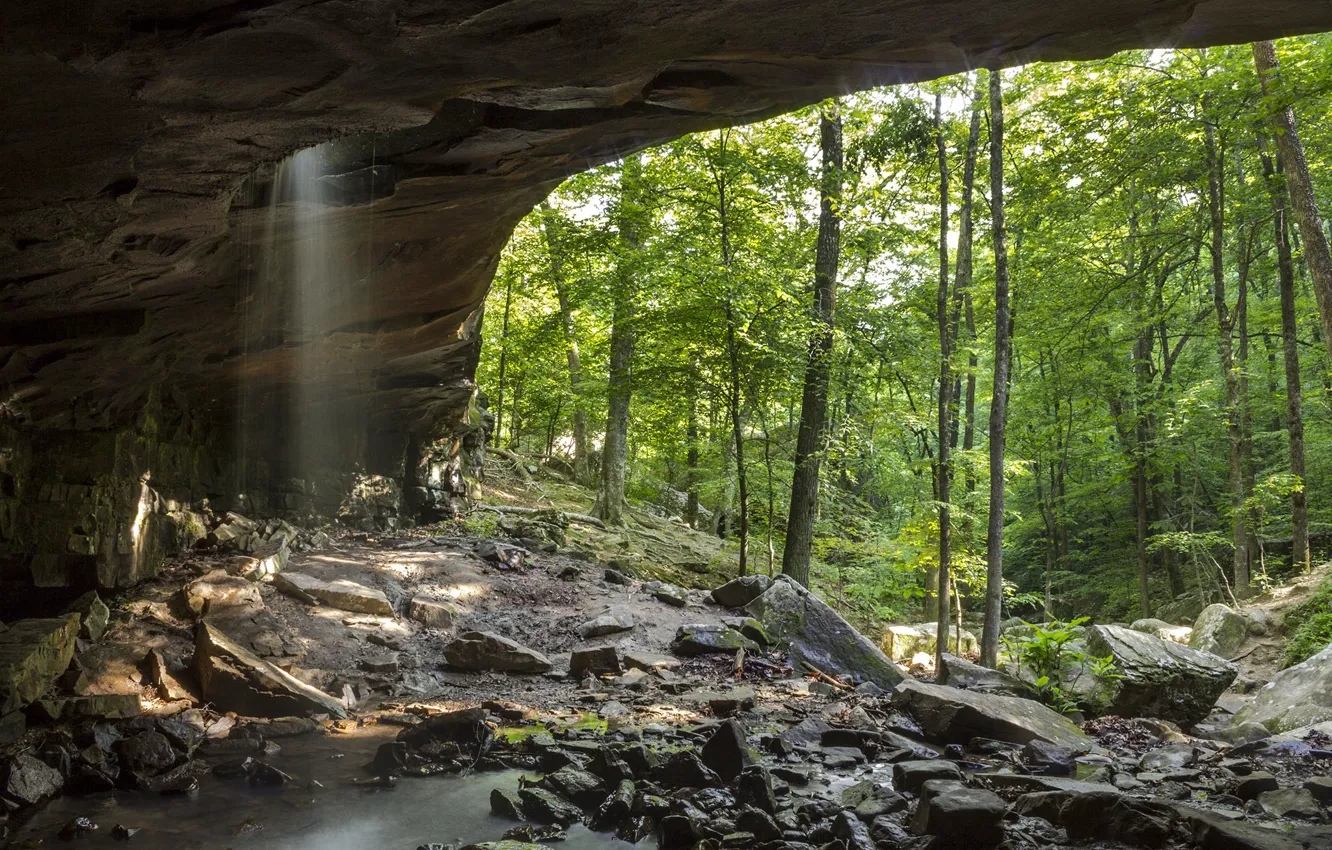 Фото обои зелень, лес, деревья, скала, камни, водопад, арка, Arkansas