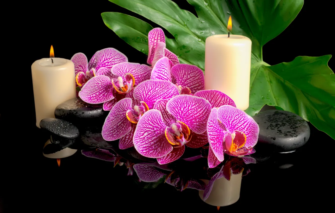 Фото обои цветы, камни, свечи, орхидея