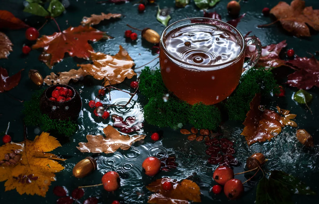 Фото обои осень, листья, вода, ягоды, чай, мох, чашка, боке