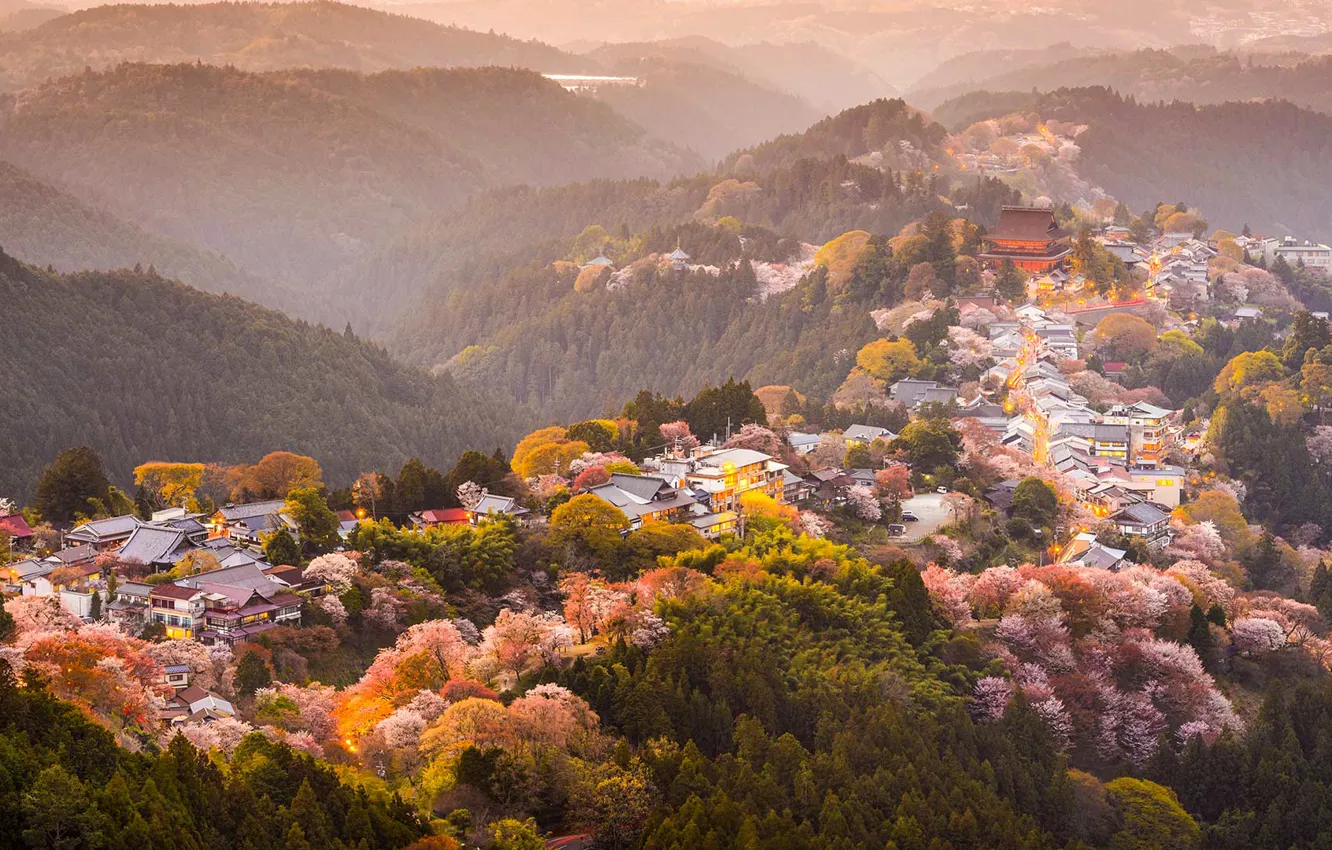 Фото обои деревья, горы, весна, Япония, сакура, цветение