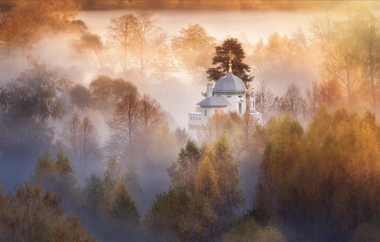 Фото обои осень, деревья, пейзаж, природа, туман, церковь, купол, Истра