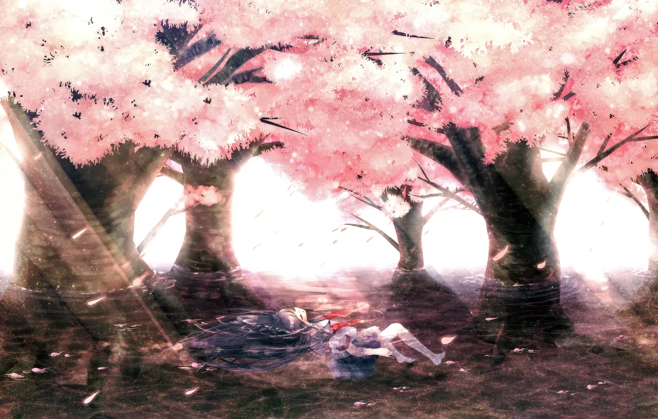 Фото обои девушка, красота, аниме, сакура, арт, лежит на воде