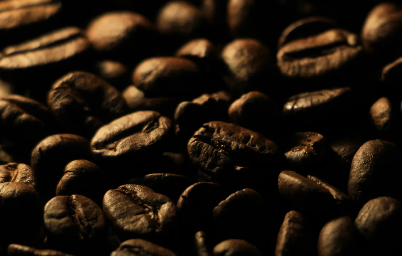 Фото обои dark, coffee, grain