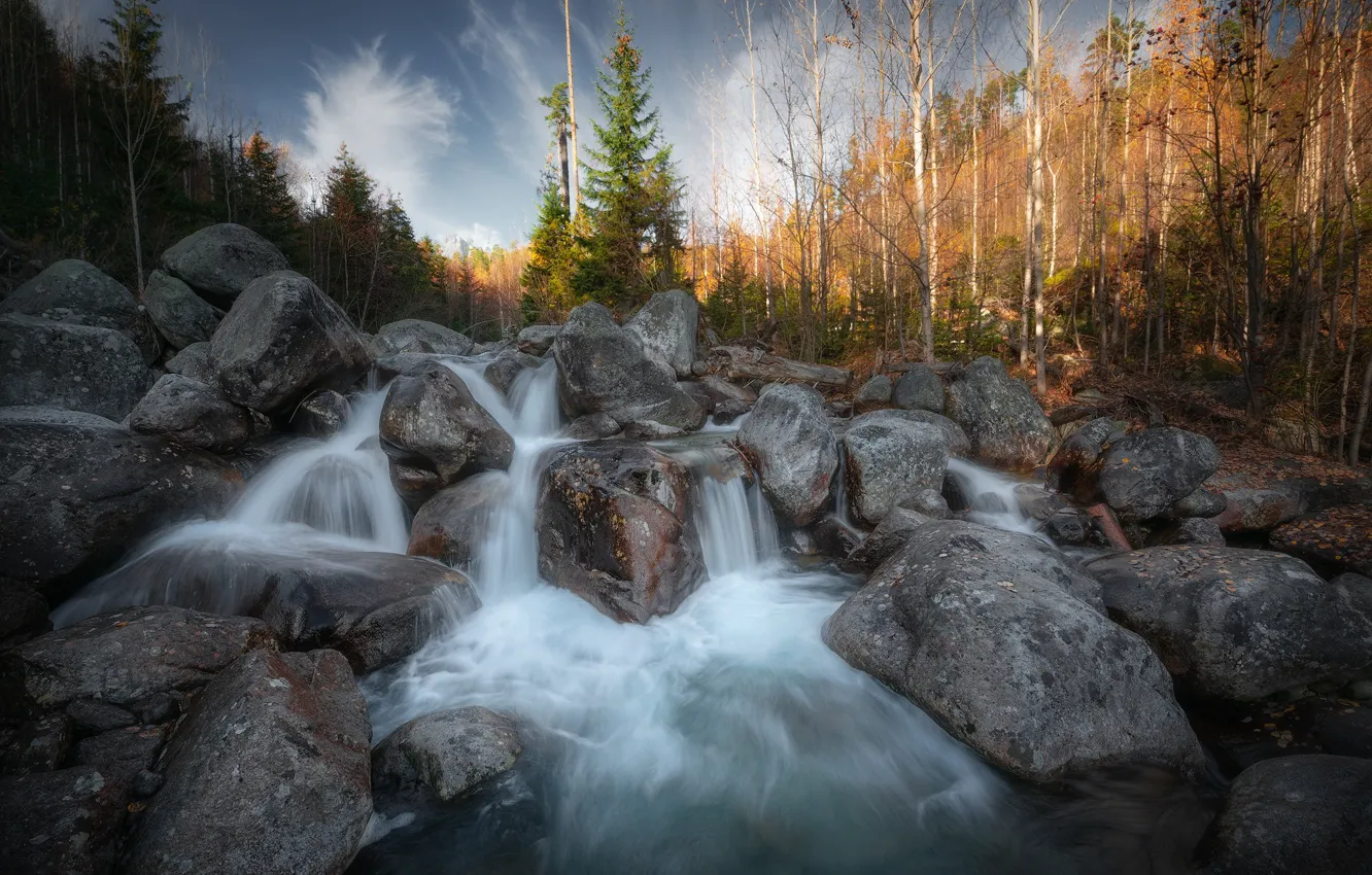 Фото обои лес, свет, деревья, камни, скалы, водопад, поток, ели