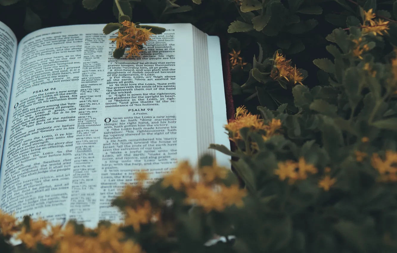 Фото обои Christian, Bible, Aaron Burden, Holy Bible