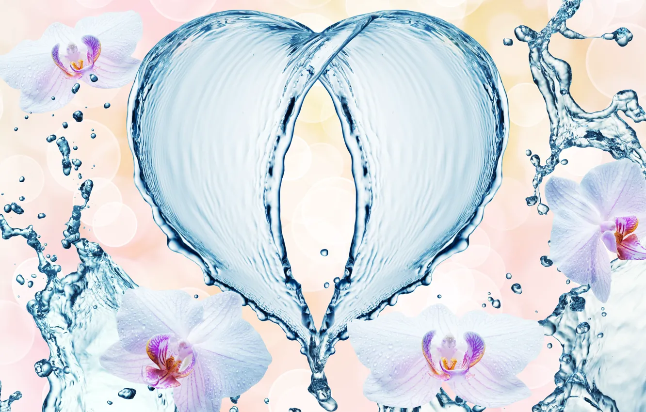 Фото обои вода, капли, цветы, брызги, узор, сердце, орхидеи