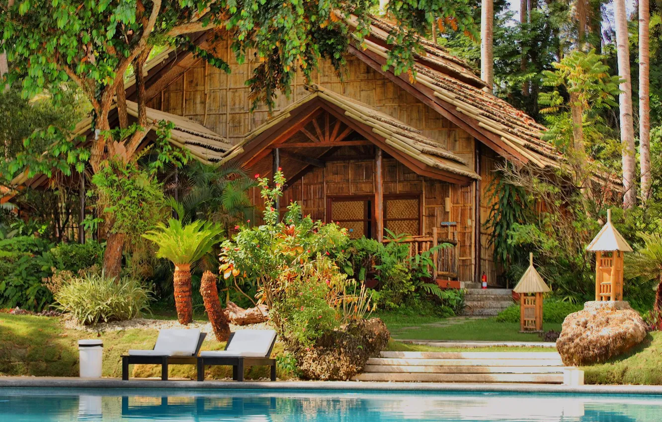 Фото обои вода, деревья, дом, пальмы, бассейн