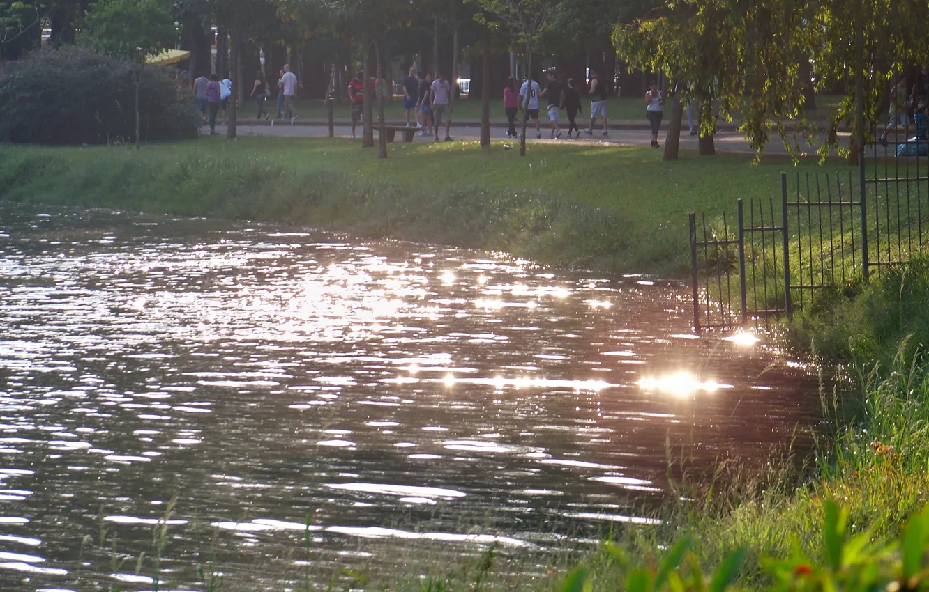 Фото обои Brazil, Sao Paulo, Ibirapuera Park, Reflection of Sunlight on Lake