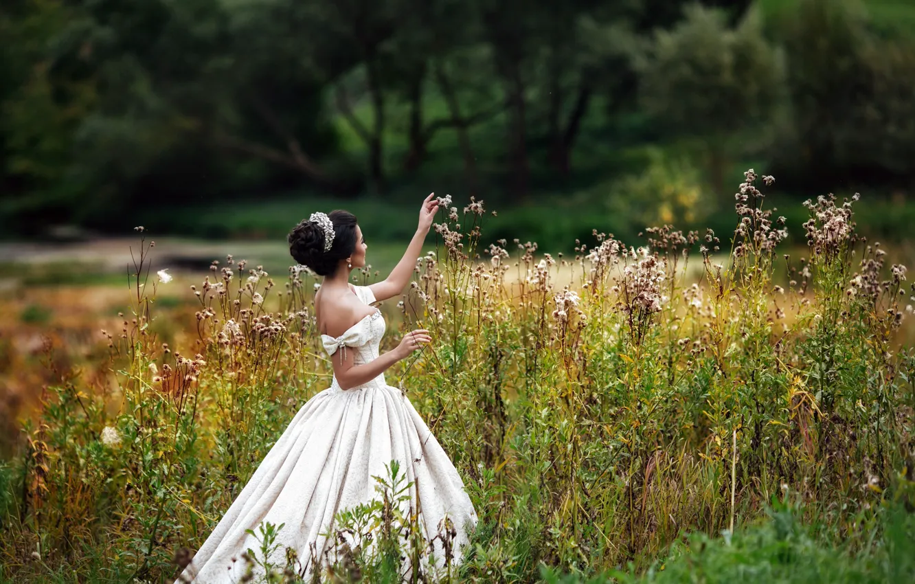 Фото обои девушка, природа, поза, платье, прическа, Александра Аксентьева
