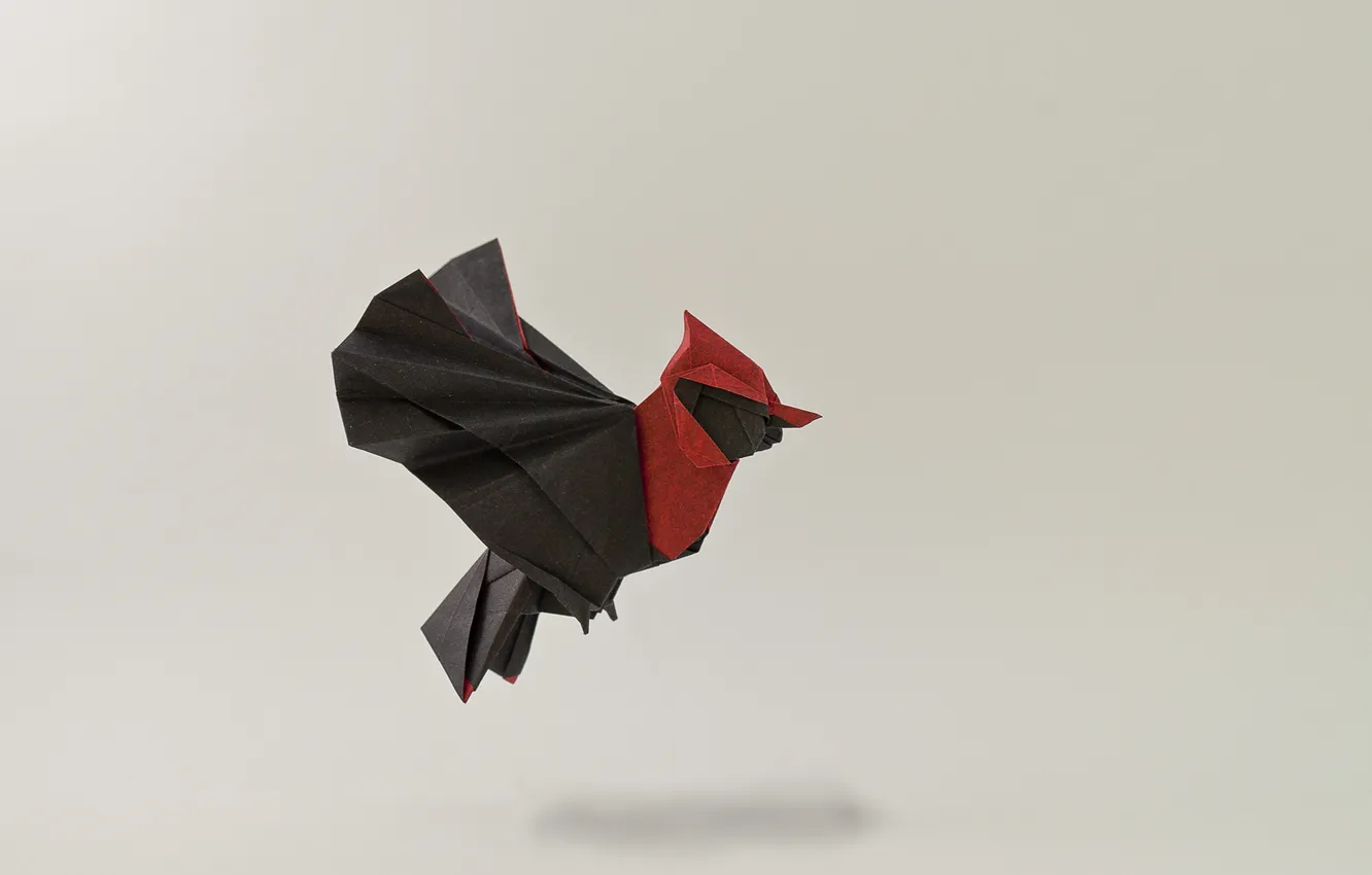 Фото обои полет, птица, крылья, тень, оригами