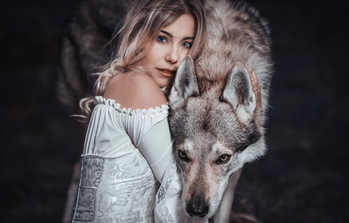Фото обои девушка, волк, друзья, Cessy We