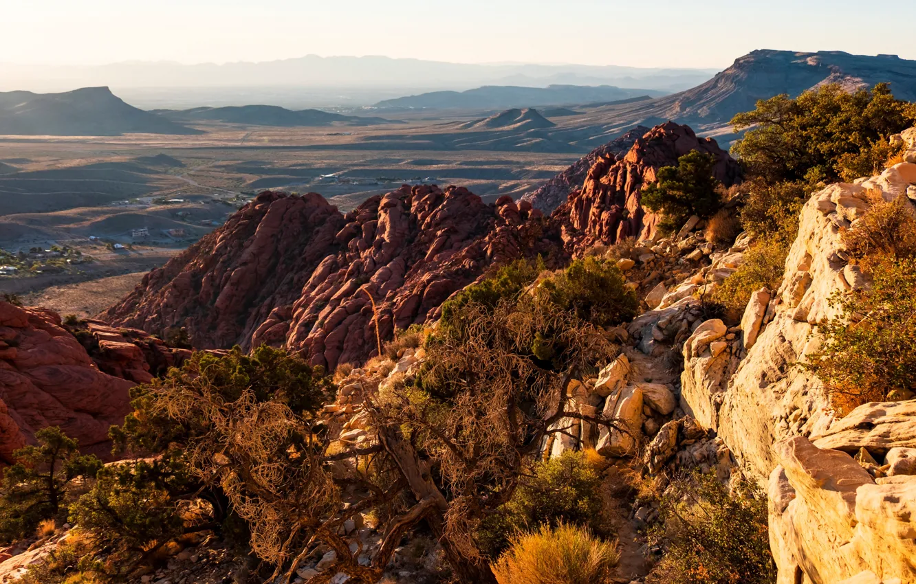 Фото обои горы, США, Red Rock Canyon