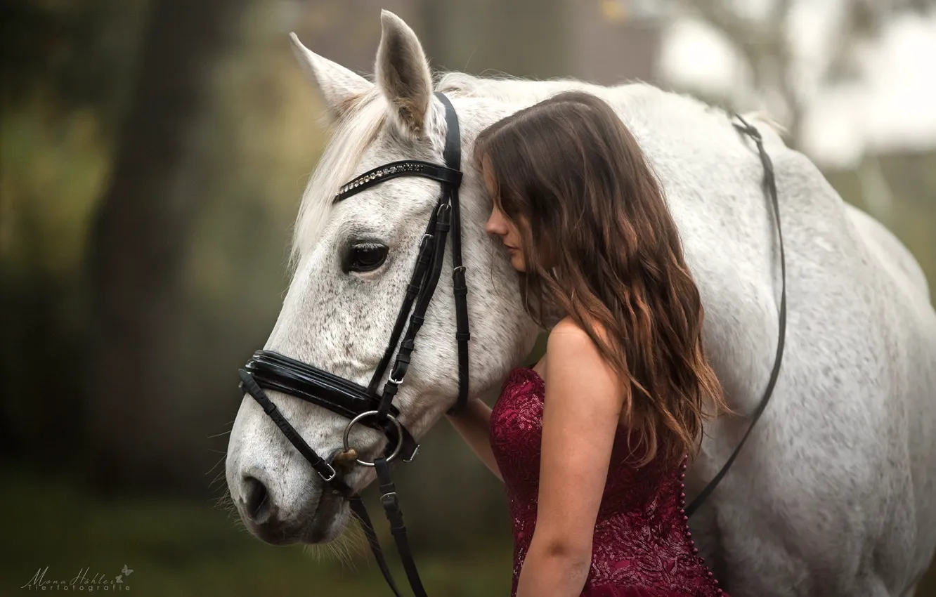 Фото обои девушка, лошадь, платье, Mona Hоhler