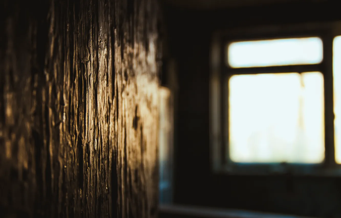Фото обои свет, комната, окно, заброшенный, косяк