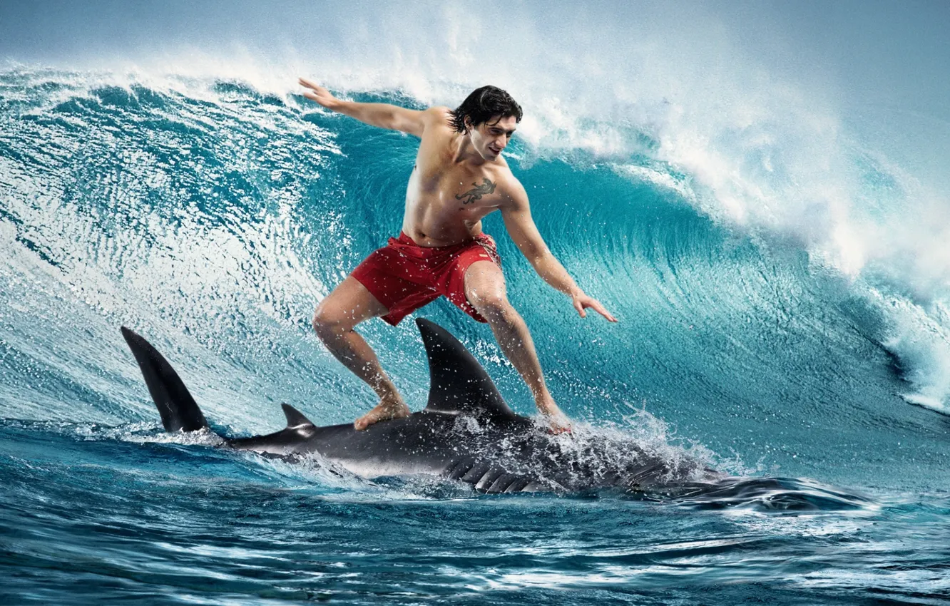 Фото обои волна, акула, парень, сёрфинг, surfing