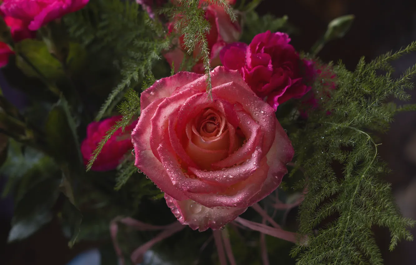 Фото обои цветок, капли, розовая, роза, букет, розовые, красная, боке