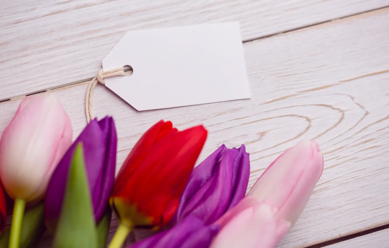 Фото обои цветы, colorful, тюльпаны, red, white, wood, flowers, tulips