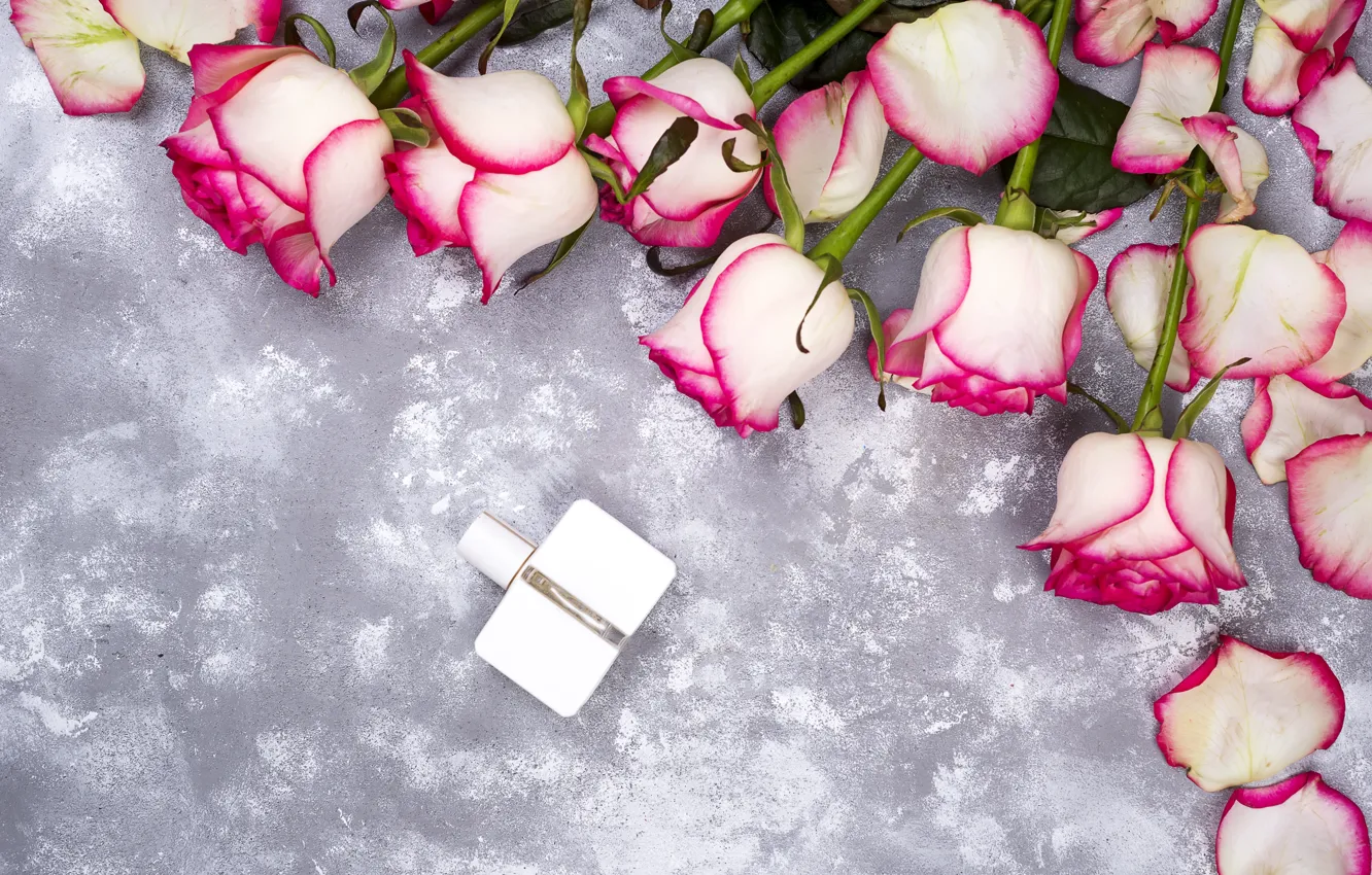 Фото обои цветы, розы, розовые, бутоны, pink, flowers, beautiful, roses