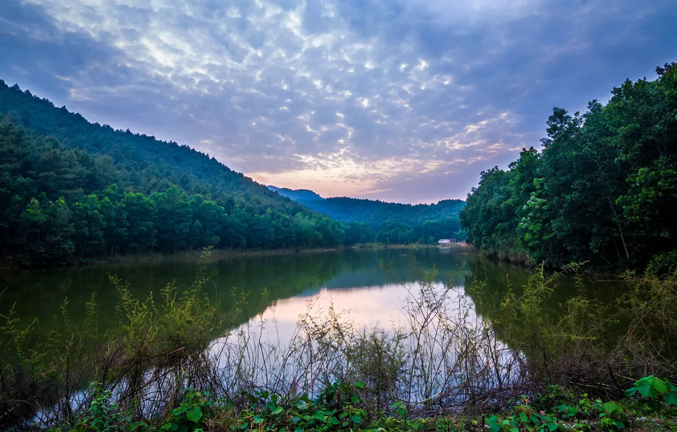 Фото обои зелень, лес, небо, трава, облака, деревья, горы, река