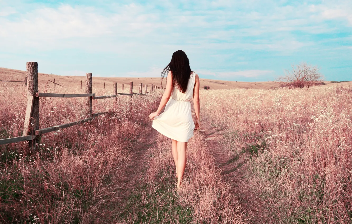 Фото обои поле, трава, Девушка, платье, брюнетка, ножки