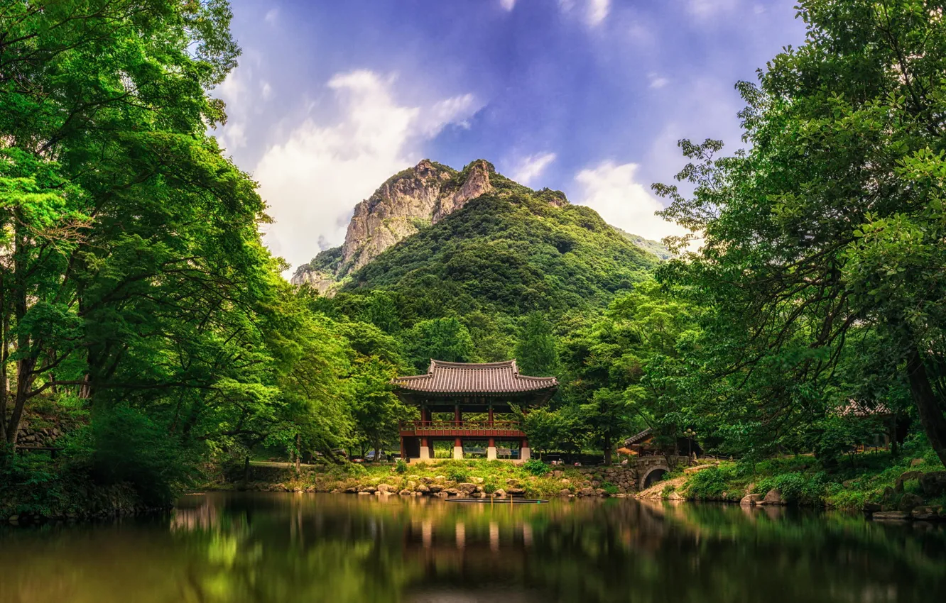 Фото обои лес, деревья, мост, природа, озеро, гора, Китай