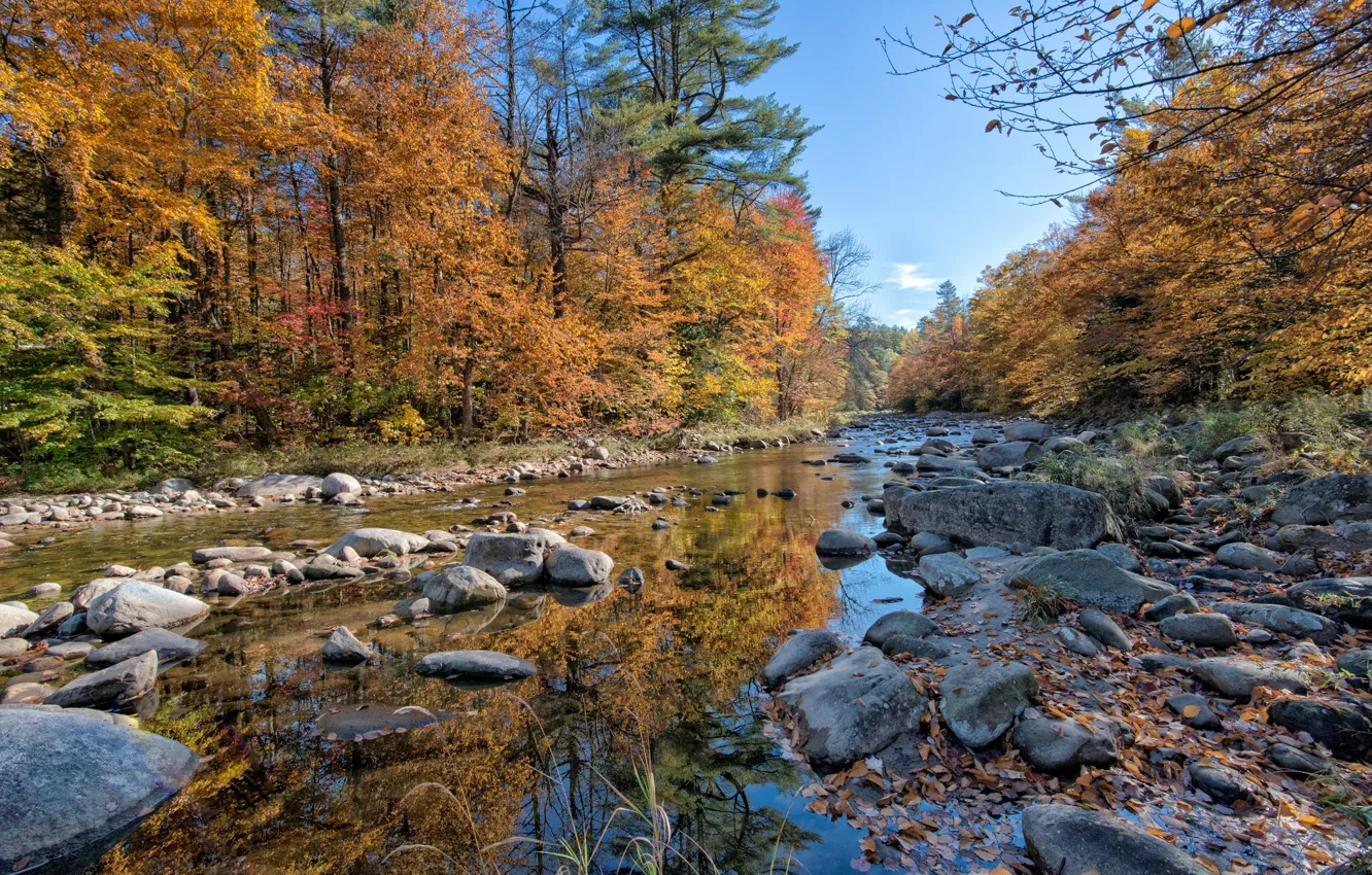 Фото обои осень, лес, река, камни