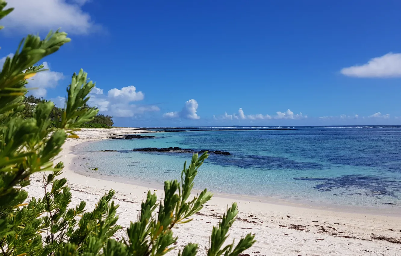 Фото обои песок, пляж, побережье, остров, relax, Индийский океан, Маврикий, Mauritius
