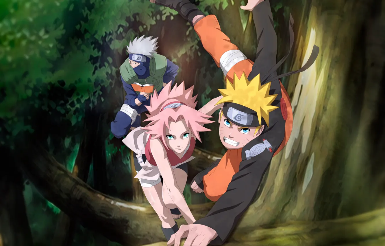Фото обои Сакура, Наруто, Naruto, Какаши