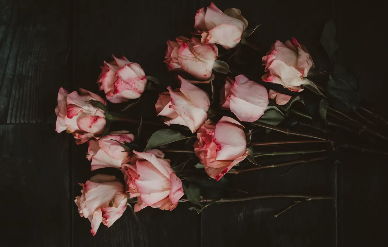 Фото обои цветы, темный фон, доски, розы, букет, лежит, розовые, бутоны
